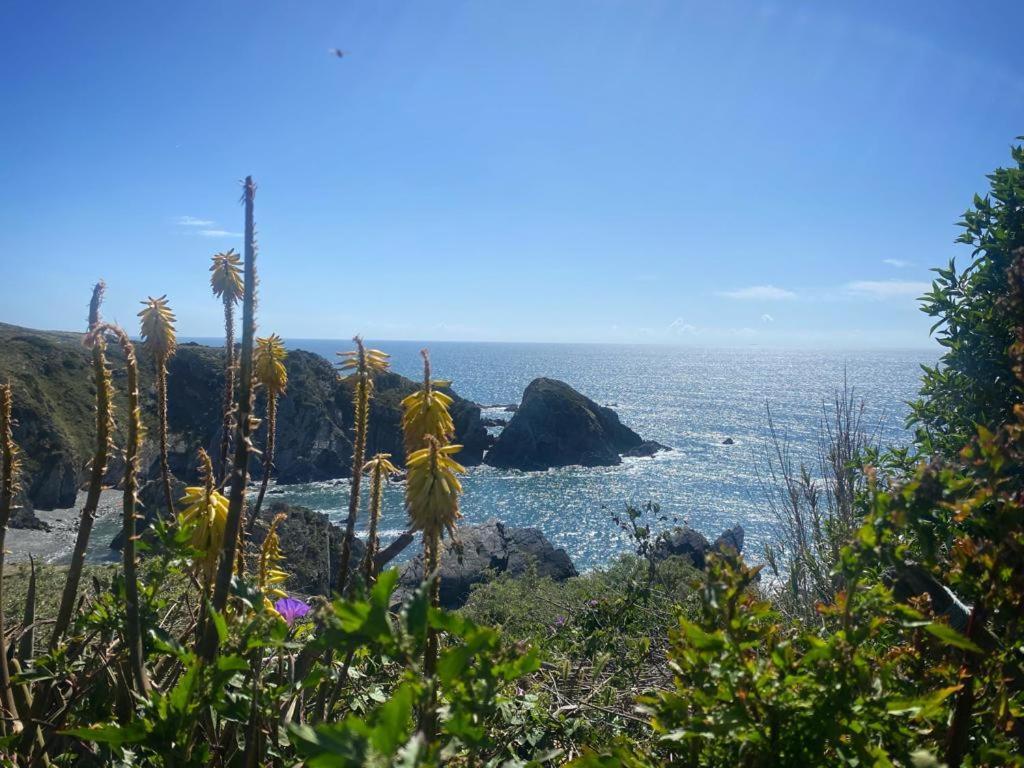 Casa Do Brejao Campo E Praia 오데마이라 외부 사진