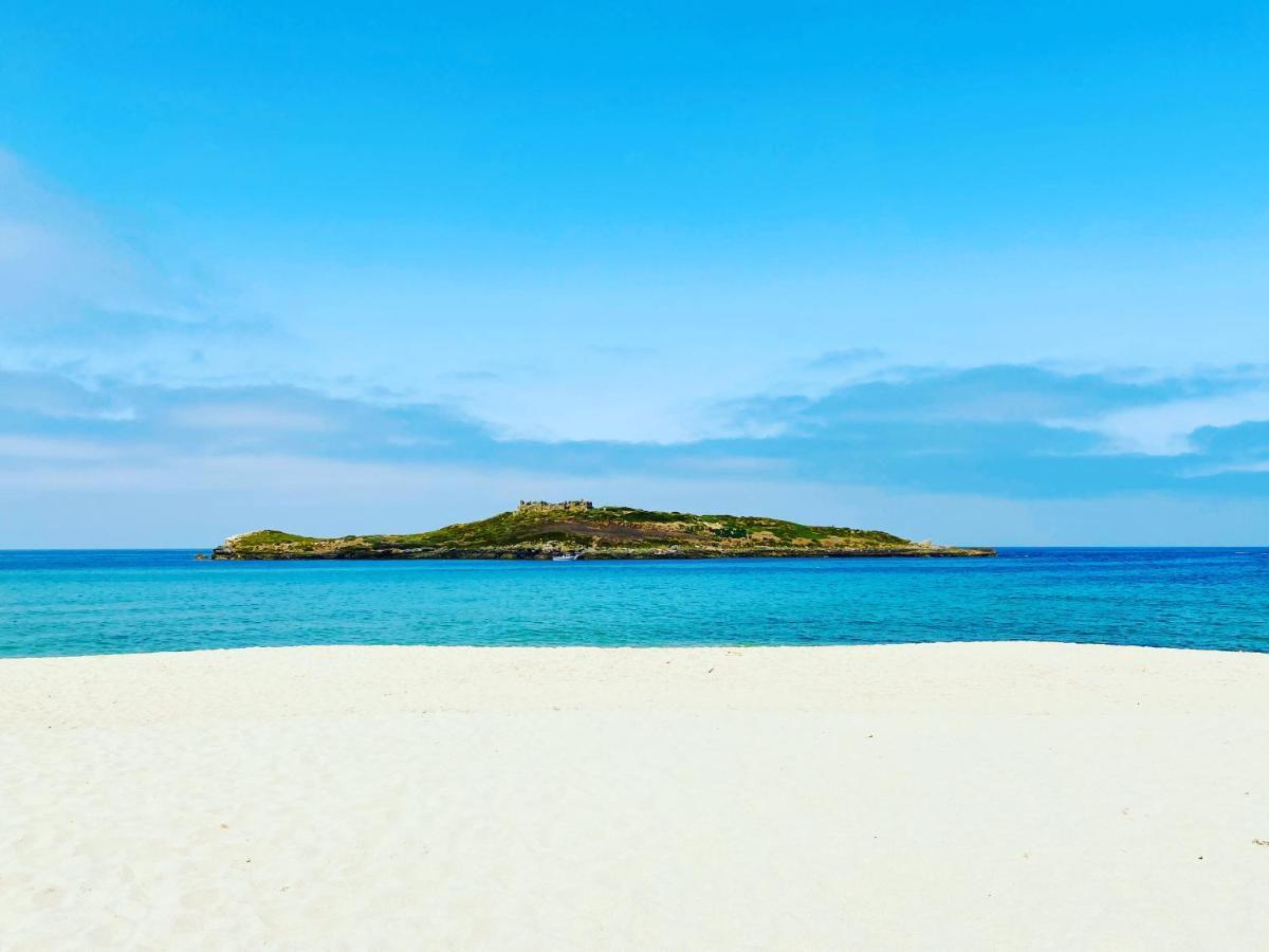 Casa Do Brejao Campo E Praia 오데마이라 외부 사진