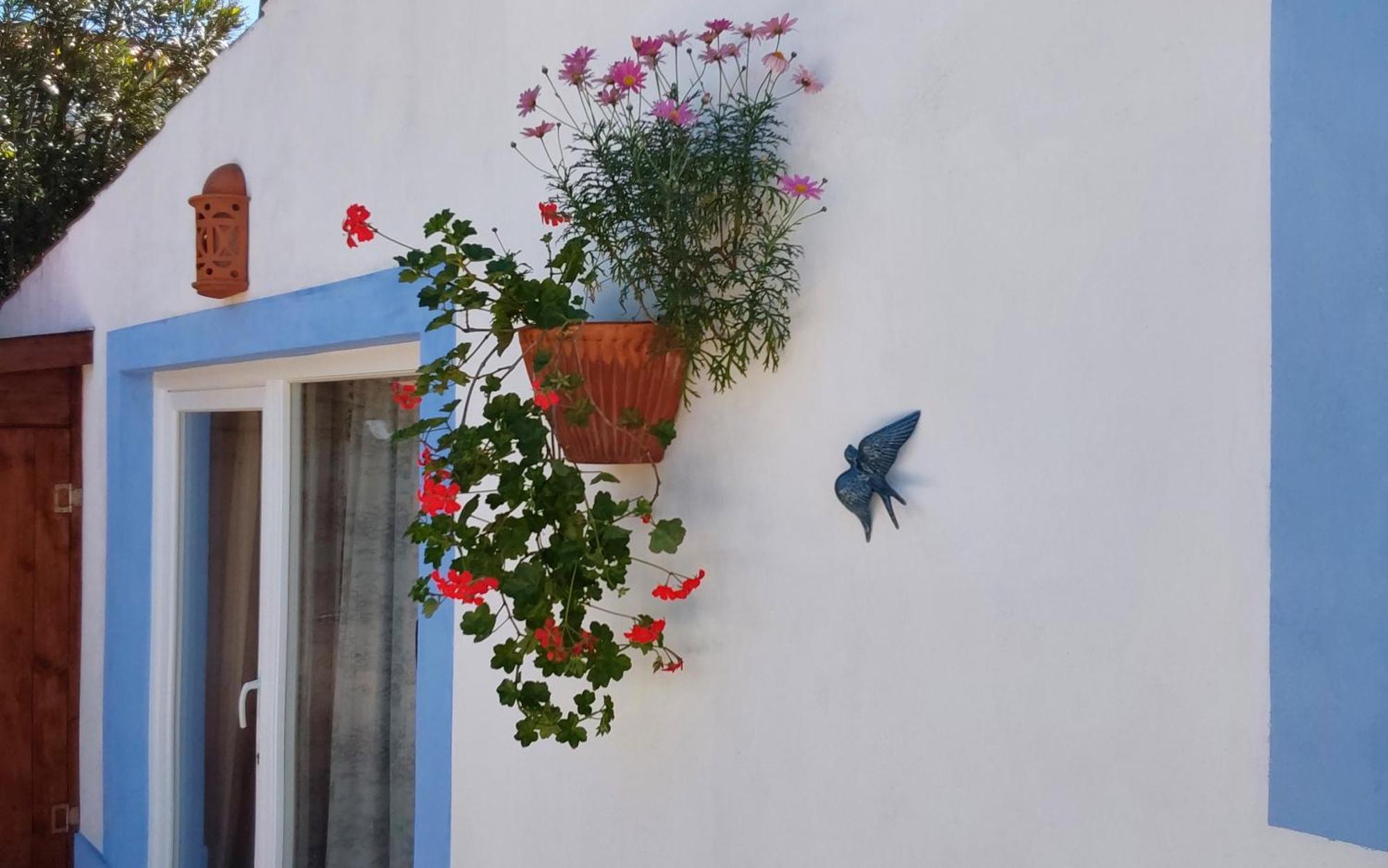Casa Do Brejao Campo E Praia 오데마이라 외부 사진