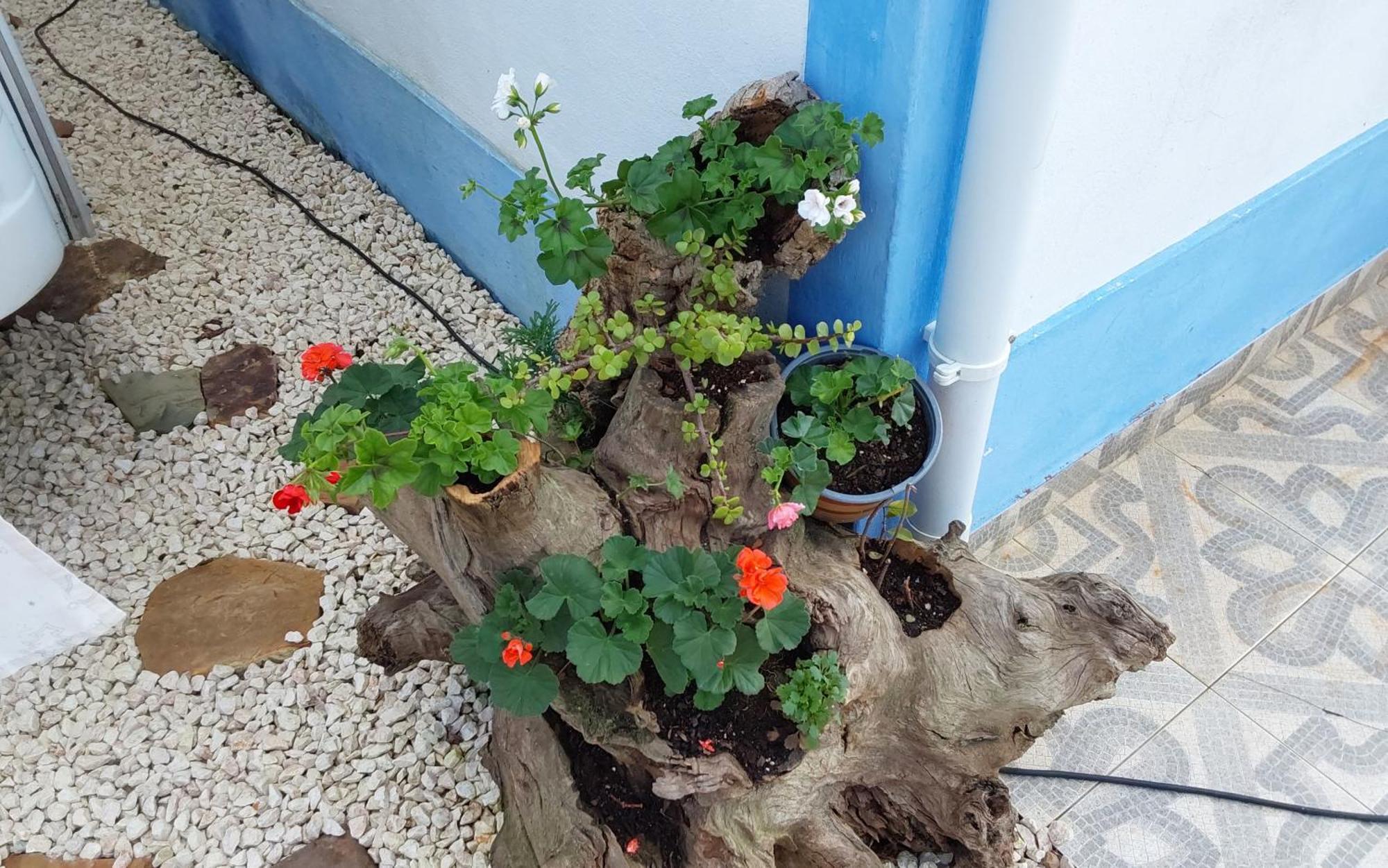 Casa Do Brejao Campo E Praia 오데마이라 외부 사진