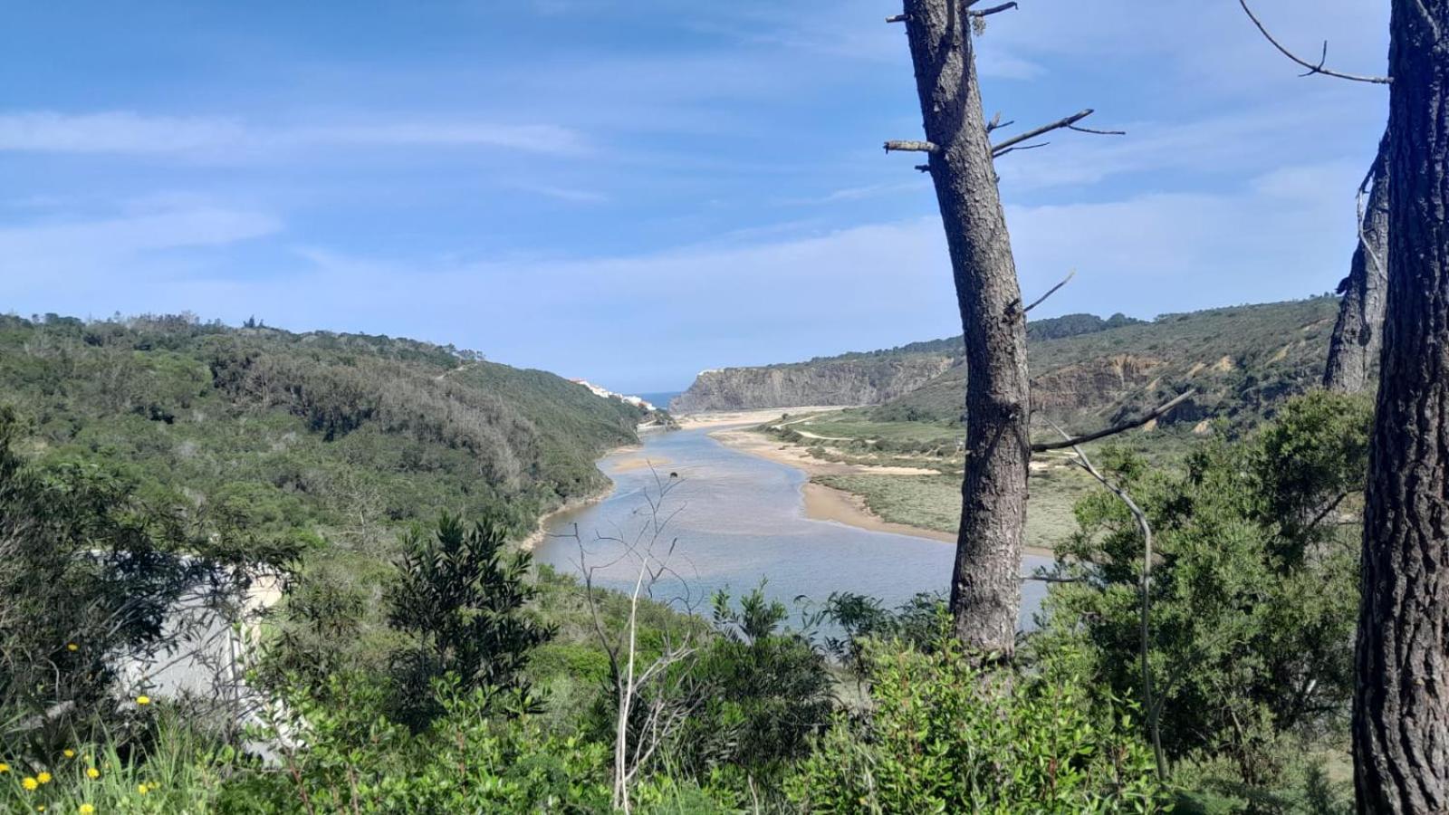 Casa Do Brejao Campo E Praia 오데마이라 외부 사진