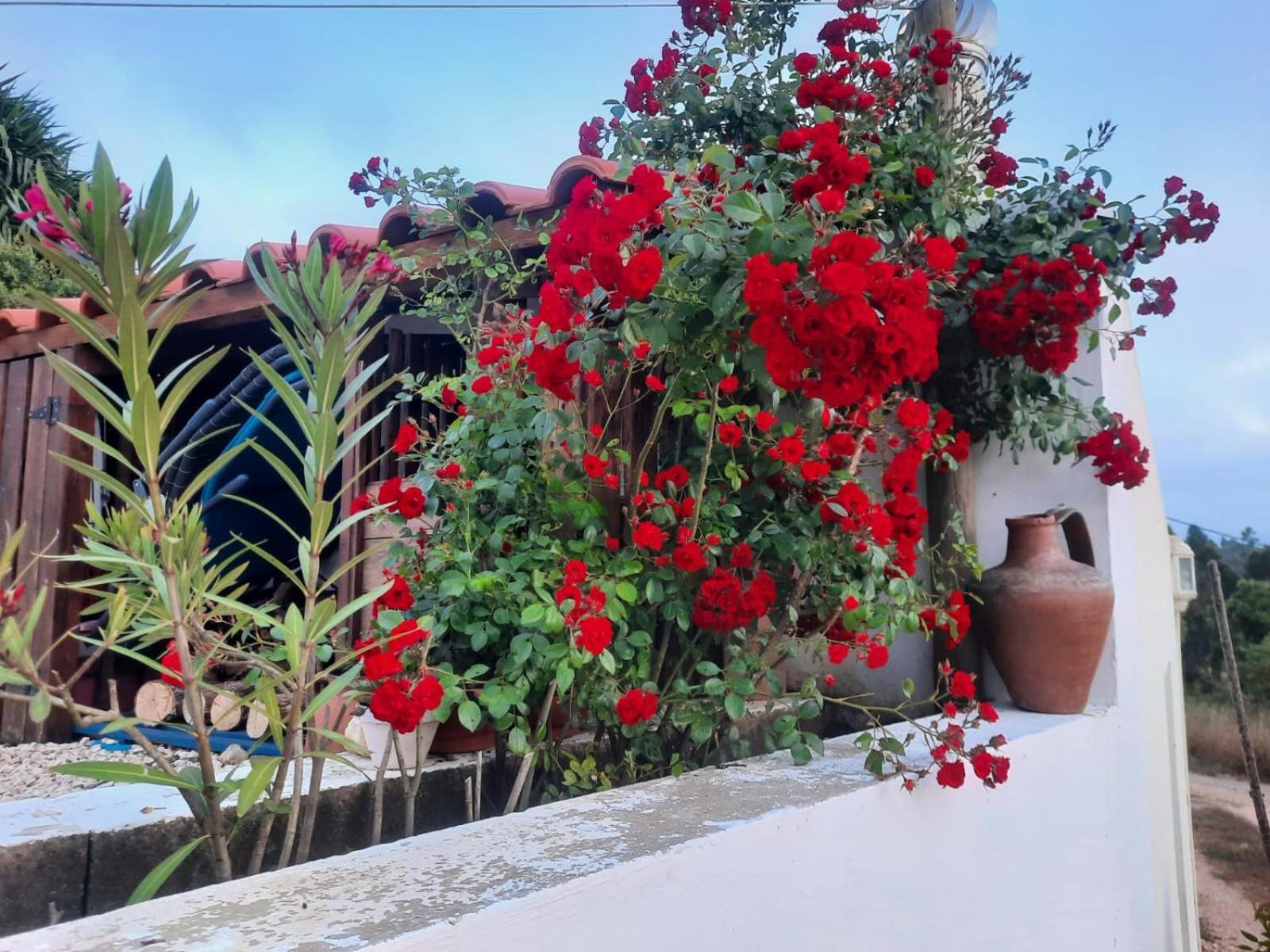 Casa Do Brejao Campo E Praia 오데마이라 외부 사진